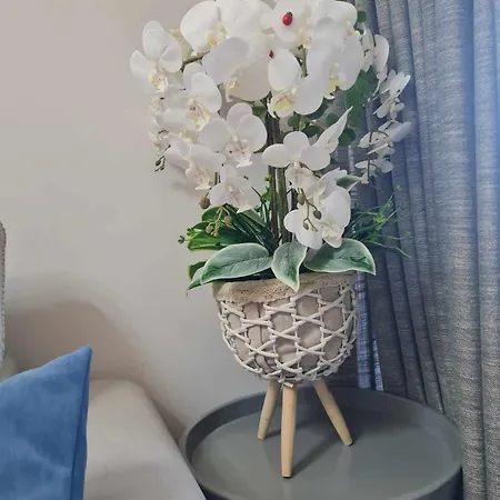 Apartament Apartment Tirana